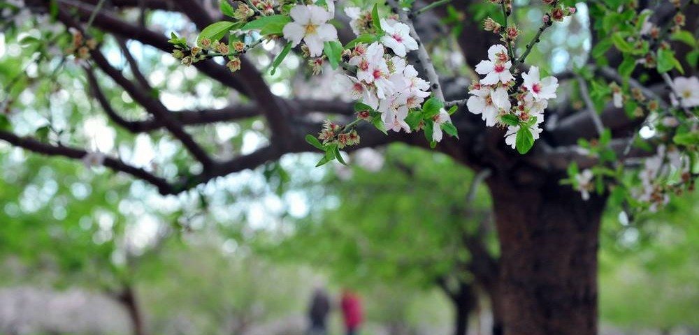 12604749_10154130449029341_1967281669384843374_o