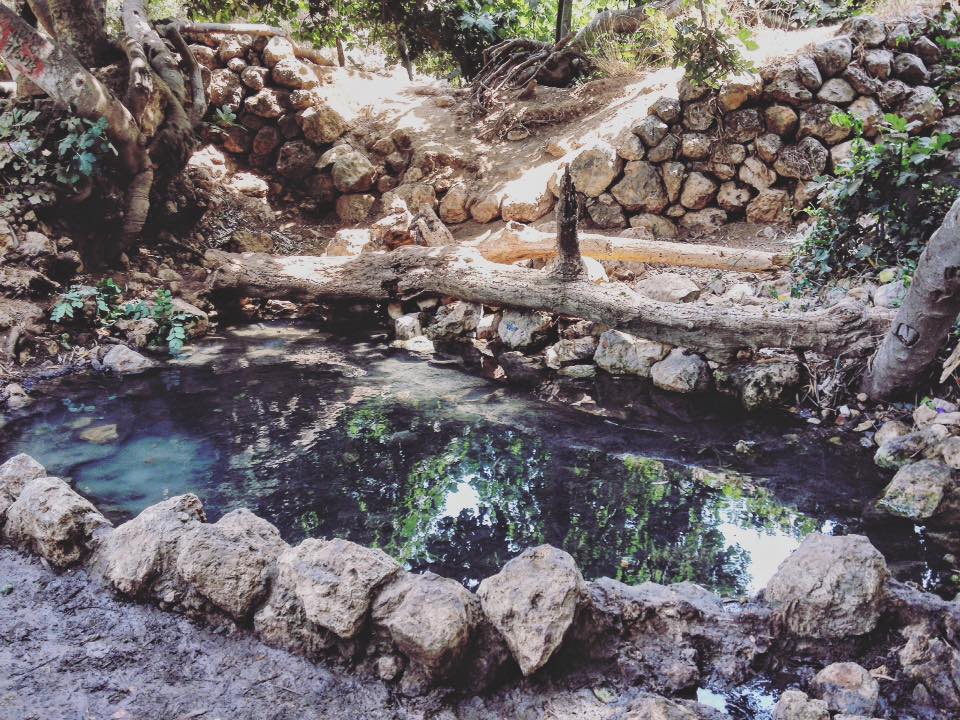 Ein Mata is a spring and trail in the Ella Valley that is suitable for all ages