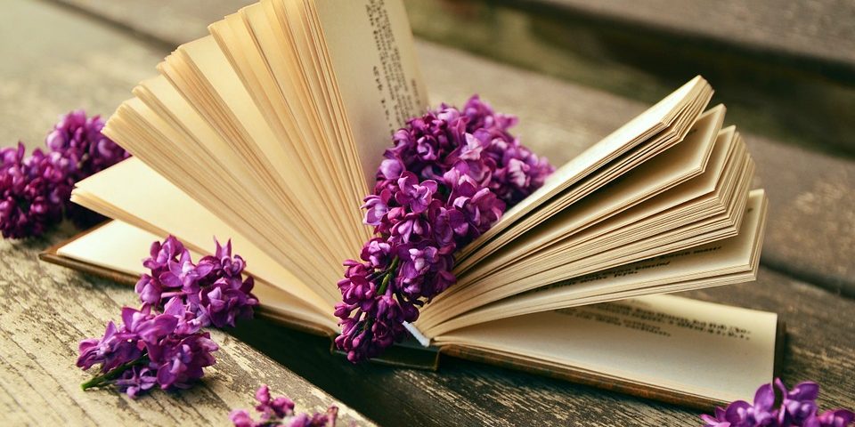 book-759873_960_720