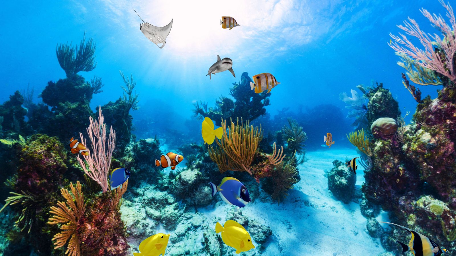 Hof Almog, or Coral Beach, with its colorful fish and coral, is an ideal beach for snorkeling