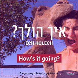 Slang Words for Your Year in Israel
