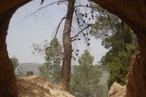 Look at the wonders of nature