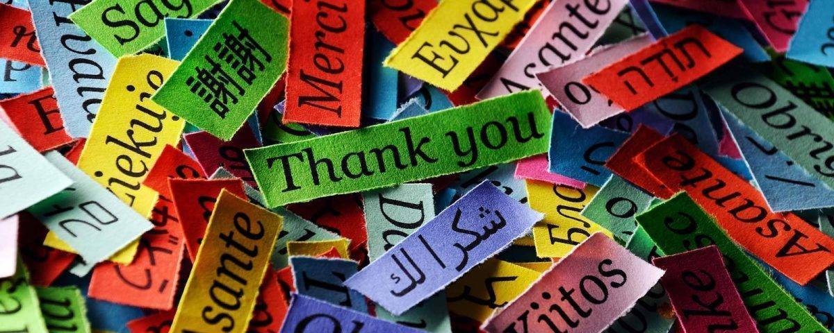 8df536e7-bcbf-45eb-8599-d8aa0da56616