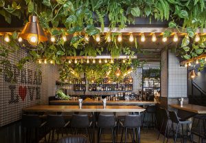 Vegan is Trendy TLV Life