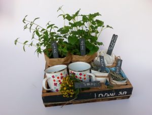 Purim Garden Fun--Share the Memories