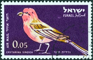 Israel has one of the highest concentrations of bird traffic in the world&mdash;500 million