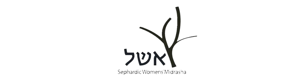 Schools for Israel