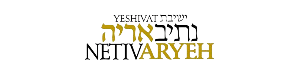 Schools for Israel
