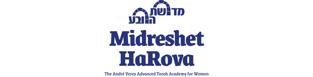 Schools for Israel