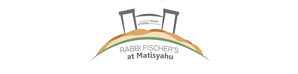 Schools for Israel